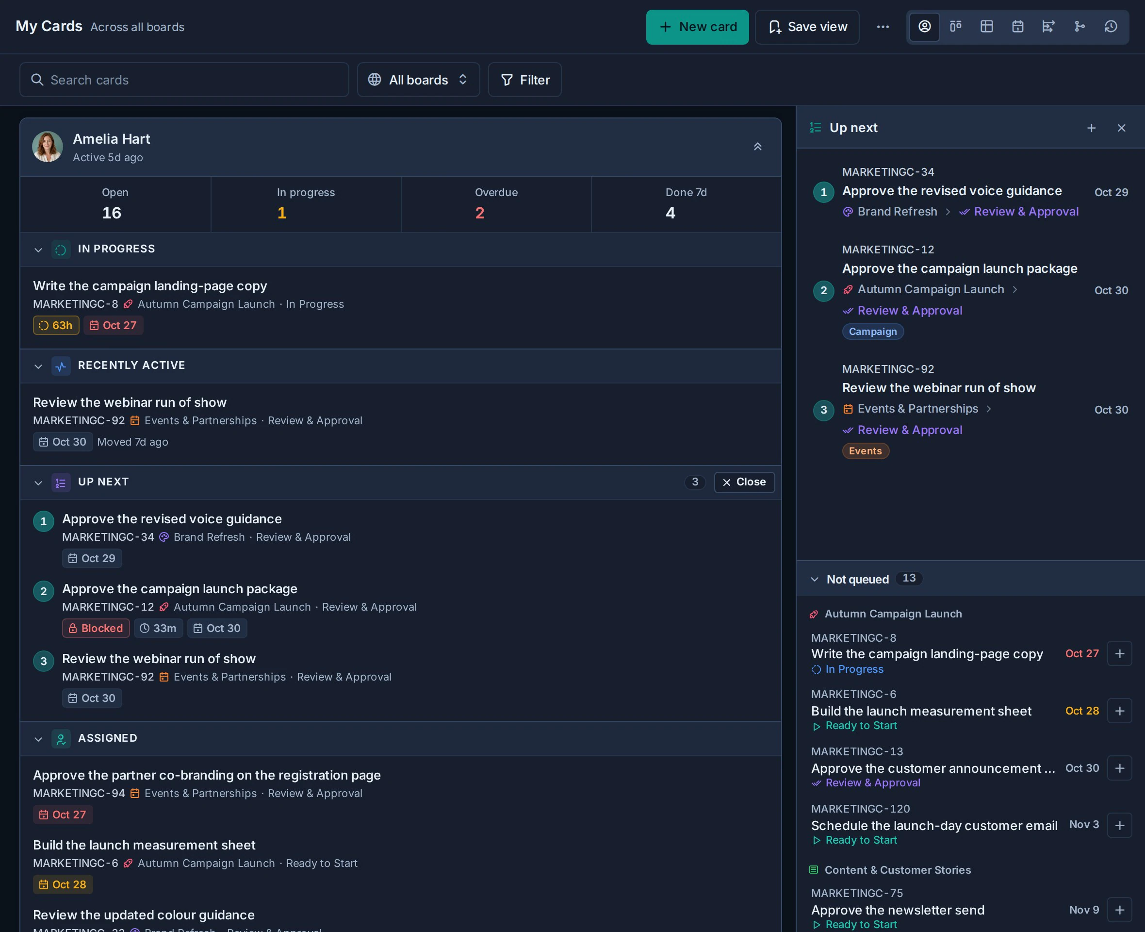 My overview with Amelia's Up next queue and Not queued cards docked beside her summary.
